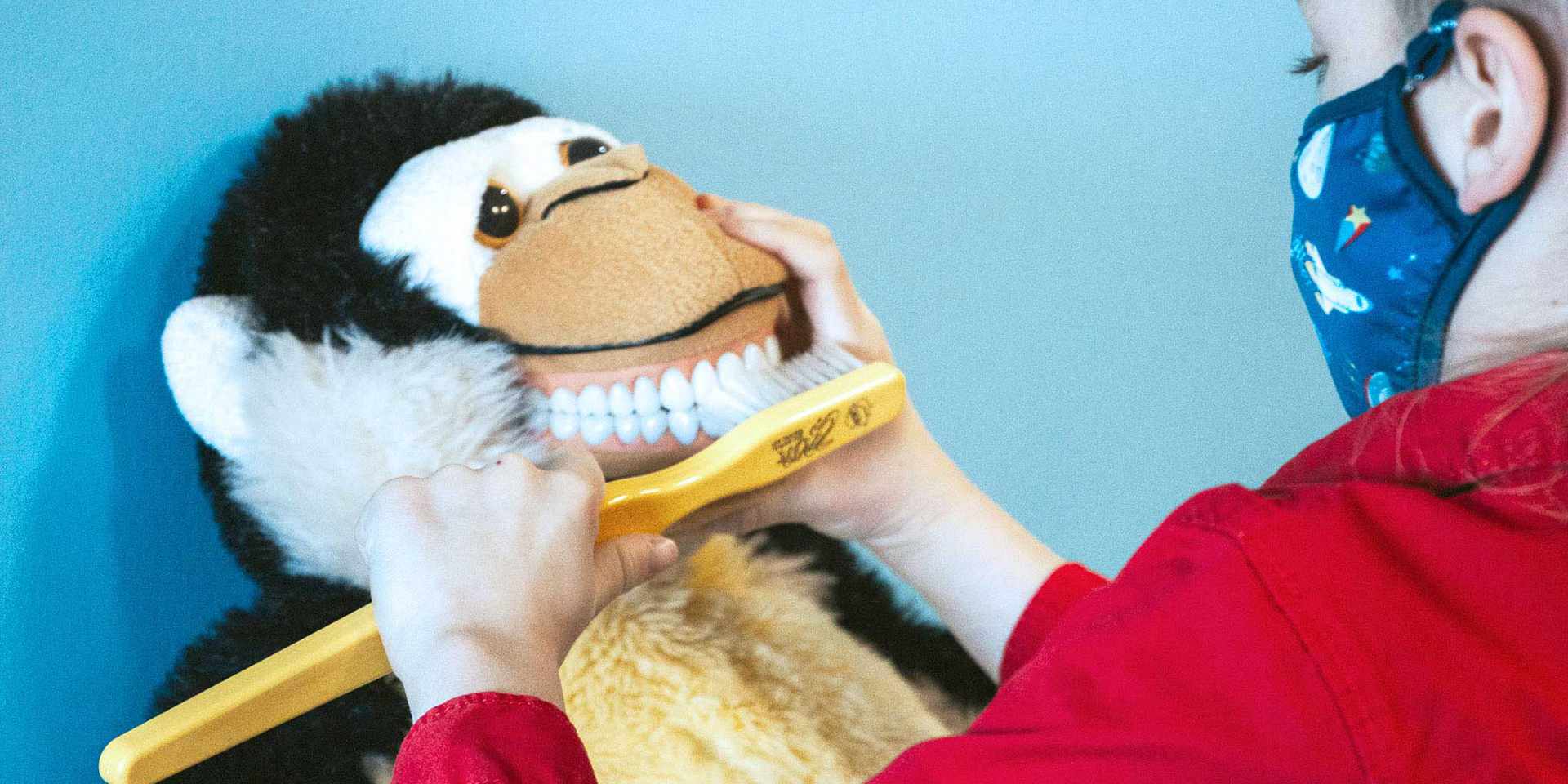 sherwood park dentist
